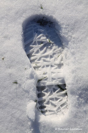 Spuren im Schnee im Westerwald