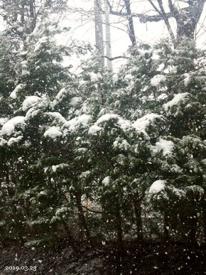 3月23日ベランダからの雪景色