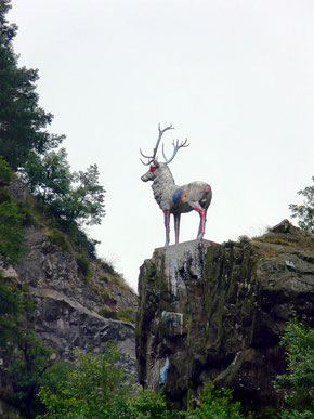 (c) Frank C. Müller