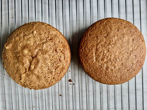 Beide Kuchen frisch gebacken: glutenfrei und mit Kamut nebeneinander
