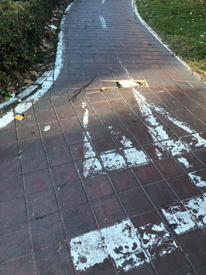 Carril Bici del Marítimo de Valencia