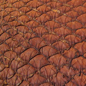 Braunes Leder mit Rautenstruktur.