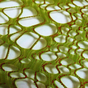 Zwischen zwei Glasplatten eingelegtes Textil mit zellulärer Struktur und bunter Färbung.