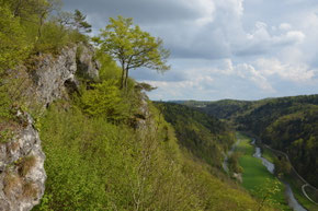 Blick am Felsensteig in´s Wiesenttal