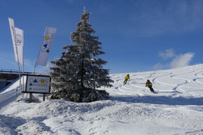 Pulverschnee bis zum Dorfeingang