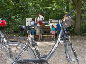 Mit dem Fahrrad auf Bildungstour im Leipziger Auwald. Foto: René Sievert