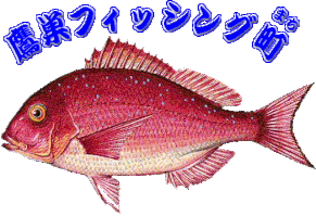 takasu-fishingmachi /home