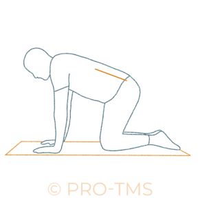 mobilite des lombaires en flexion et extension