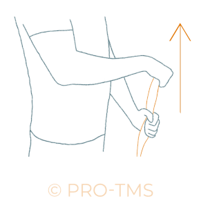 renforcement des extenseurs - troubles musculosquelettiques