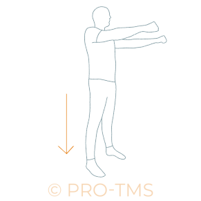 renforcement des quadriceps - troubles musculosquelettiques