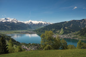 Herta Blamauer - Autorin & Psychotherapeutin - Maddalena - Ein Frauenroman - Zell am See