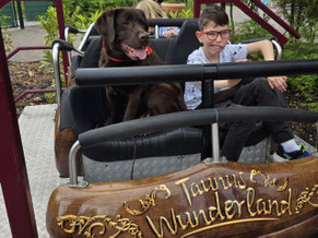 Phil aus dem Haus St. Martin in Ingelheim macht einen Ausflug ins Taunus Wunderland