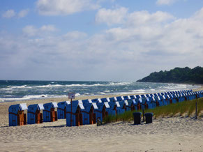 Strandkörbe am Strand Ostseebad Rerik- Lerne jetzt surfen!