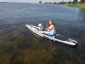 Stand Up Paddling- Trendsport SUP am Salzhaff in Rerik in der Surfschule Oceanblue Watersports