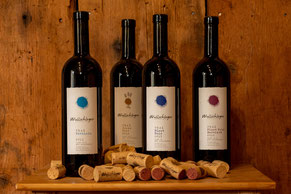 Weinflaschen, unsere Rotweine aus Maienfeld, Nebbiolo, Cuvée Noir, Pinot Noir Classique und Pinot Noir Barrique
