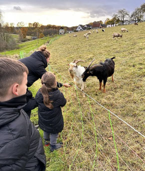 naturgestützte Ausflüge im Frühjahr!