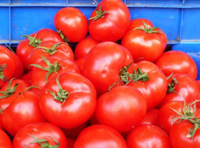 Fruits et légumes, poissonnerie, boucherie, fromagers...