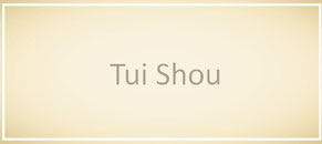 tui shou