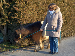 Spaziergang mit Max
