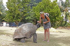 Praslin, l'île Curieuse, Seychelles