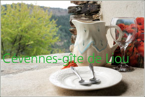 Accueil en  Lozere Cévennes-gite de liou