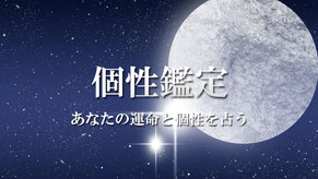 鑑定書の詳しい読み方のご説明