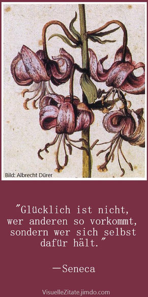 Glücklich ist nicht wer anderen so vorkommt, sondern wer sich selbst dafür hält, Seneca, visuelle zitate, quotes, weisheit, grafik, painting, bild, jimdo, 