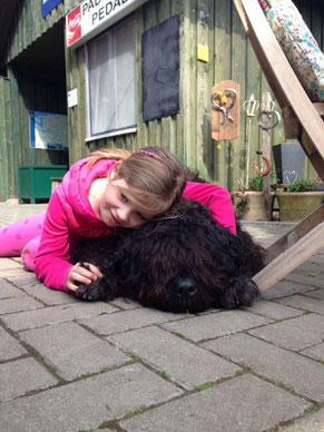 Bouvier des Flandres mit Kindern , ein toller Schnusepartner, Bouvierzucht, Bouvierzüchter, Bouvierzuchtverein Deutschland