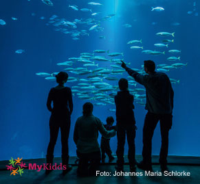 Ozeaneum Stralsund