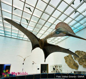 Flugdinosaurier im Naturkundemuseum Karlsruhe