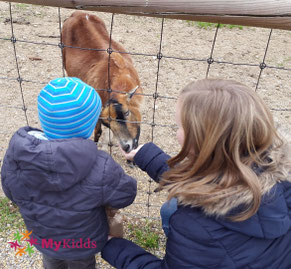 Kind und Mutter füttern eine Ziege im Wildpark Poing