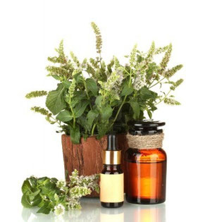Aceite Esencial Menta Pipperita