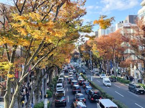 Omotesando Avenue