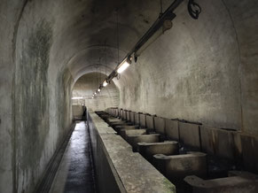 Fish Ladder