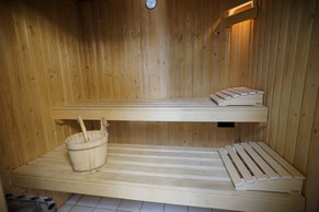 Sauna im Ferienhaus Zeeduin