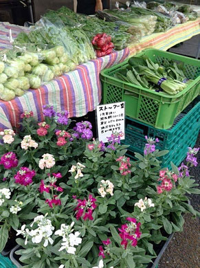 直売会にはお花の販売もあり、こちらも楽しめる。