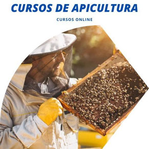 cursos de apicultura