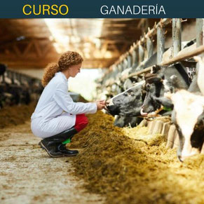 CURSO DE GANADERÍA