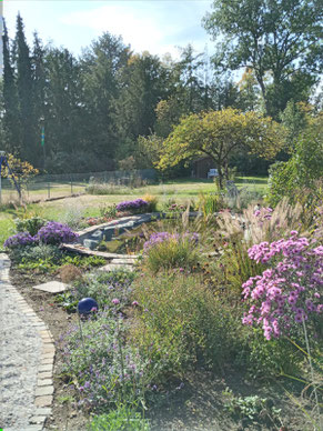 Erst Gartengestaltung dann Beetkonzept: Teichgarten mit altem Apfelbaumbestand in Köln