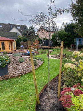 Gartengestaltung: Grüne Familien-Oase in Oberhausen/Mülheim
