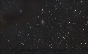 Galaxie - PGC 166755  in LDN 1251