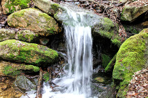 Bach, kleiner Wasserfall, Thayatal, Steine mit Moos