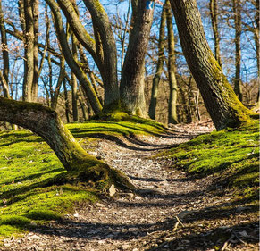 Dauerstelle Gartenbau Schweiz
