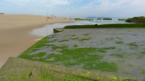 Blockhaus Cap Ferret