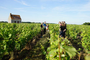 VinoLoire - Vincent Delaby - Excursions privilégiées dans les domaines vignobles du Val de Loire - Visites découverte en famille