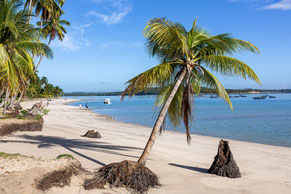 carneiros strand, meerwasser schwimmbäder, weisser sand, meer, kristallklares wasser, brasilien, palmen, bootstouren, urlaub, familienstrand, schnorcheln