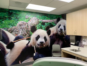 Pandas Mural