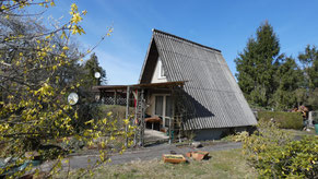 www.immobilienwill.de