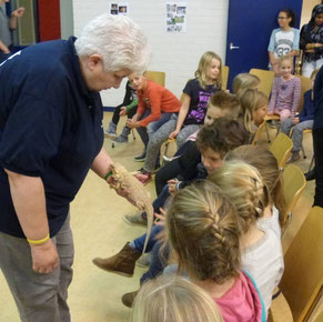 Een vrijwilliger die een baardagame laat zien aan een groep kinderen tijdens een dierenpresentatie op een basisschool