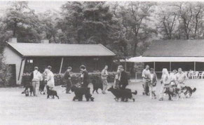 Vereinsheim und Übungsplatz in den 60ern